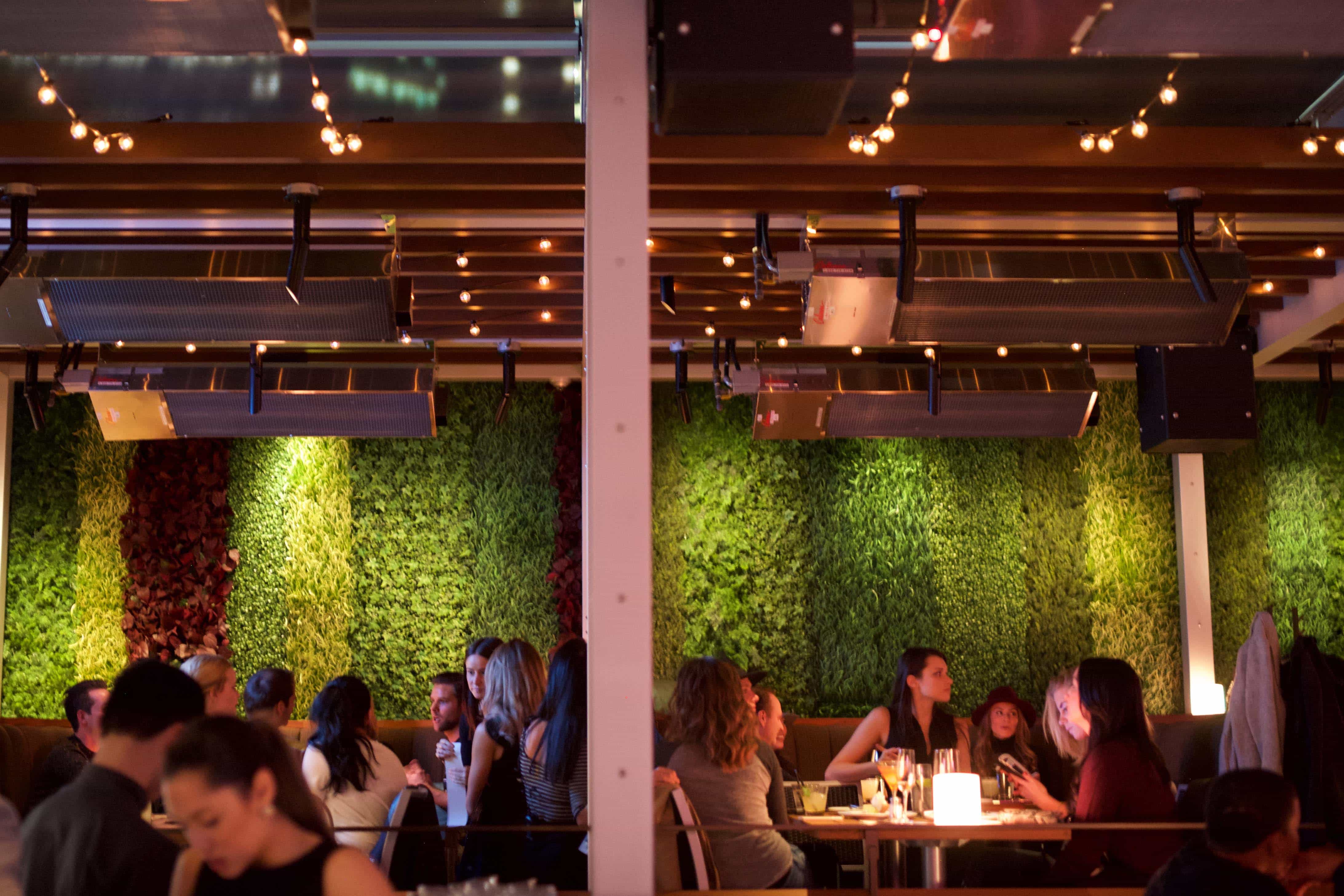Cactus Club Cafe