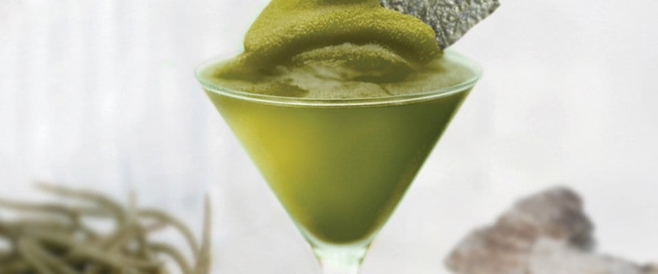 Cactus Club Cafe | Kelp Bellini