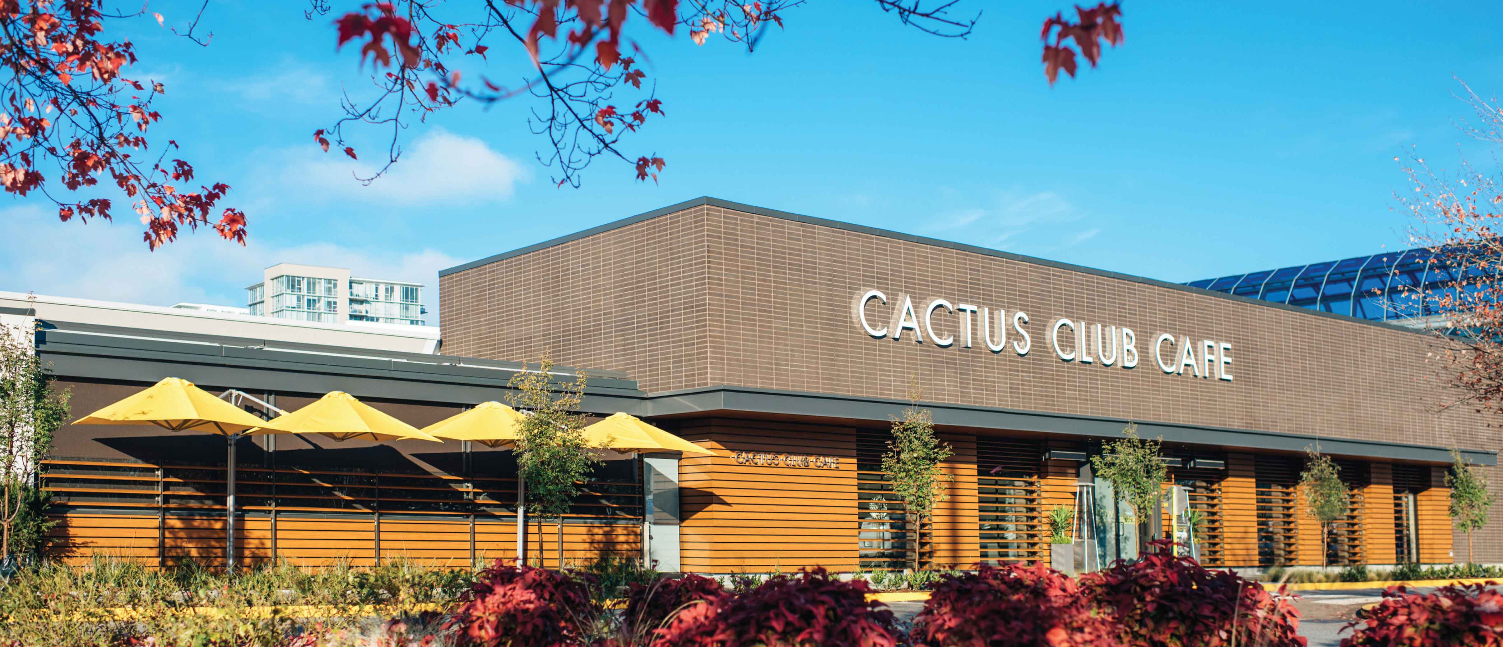 Richmond Centre Restaurant | Cactus Club Cafe Richmond
